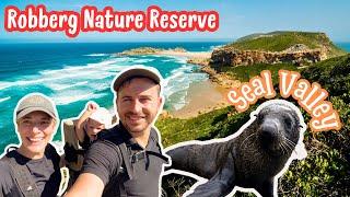 #59. Unveiling Nature's Majesty: Hiking the Robberg Nature Reserve | Plettenberg Bay | South Africa