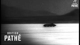 George Eyston's Record Breaking Car (1954)
