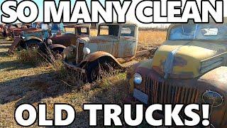 A Private Yard FULL of SOLID Old Trucks & Cars! DONT MISS This! Chevys, Fords, ALL Great Projects!