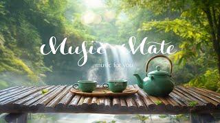 Soft sleep music and water soundsMeditation music, Stress relief musicMusic for calming the mind.