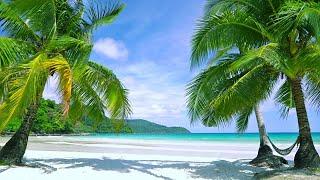 Tropical Beach, White Noise for relaxation & Sleep |  Distant Ocean Wave & Seabird Ambience