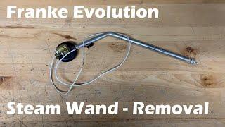 Franke Evolution Steam Wand Removal