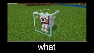 Minecraft wait what meme part 14