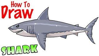 How to Draw a Shark the Easy Way