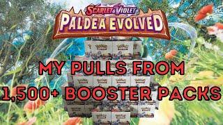 Pokemon Paldea Evolved Opening: My Hits from 1,500+ Booster Packs!