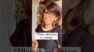 My thoughts on “plant addiction”