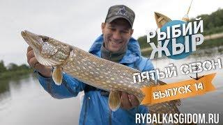 Рыбалка в Беларуси. Река Припять. Рыбий жЫр 5 сезон 14 выпуск.