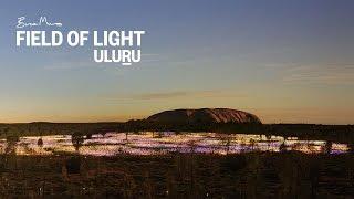 Field of Light Uluru - Critically-Acclaimed Light Show at Ayers Rock Resort