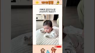 아빠닮은 딸래미의 최후...