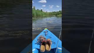 В поисках щуки  #отдых #путешествия #рыбалка