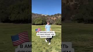 В Америке купить оружие проще, чем банку пива #shorts #usa #america #student