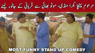 Marhoom Pohncha Qurbani ka janwar lainay | Takdi Watta| #motubhai #marhoom #funny #takdiwatta