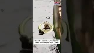 Viral Video Of Frog Drowning Remind Netizens A Scene From Titanic | #shorts