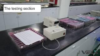 Security Check (2) and Visiting Velxtech Lab
