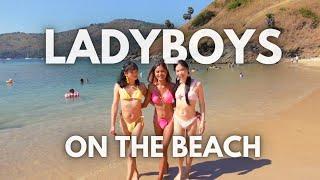 Ladyboys in Phuket Lydia, Rita & Taylor in Phuket| SawasdeeLydia