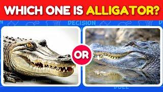 Guess the Correct Animal Quiz  | Guess The Animal Challenge | Animal Quiz