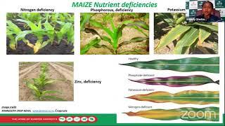 Maize Crop Production and Management Webinar