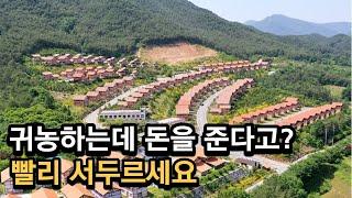 돈없이 귀농귀촌하는 방법 [귀농귀촌 지원사업] 6개월 동안 돈을 받으며 시골생활을 할 수 있다...?!