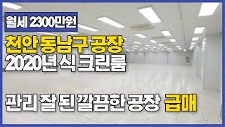 월세 2000만원대 크린룸 청정시설 완비된 공장입니다. /충남 천안 동남구 공장 매매,임대 /2020년식 크린룸 시설