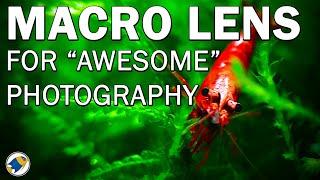 My Scape Studio | ARKA Aquatics Smart Phone Macro Lens for Aquariums - MR BRIGHTFRYED