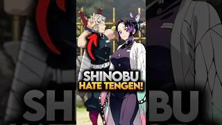 What Shinobu thinks about other Hashiras? Demon Slayer Explained #demonslayer #shorts