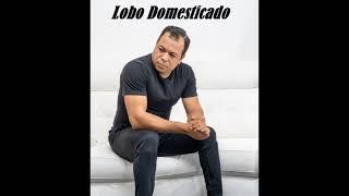 Lobo Domesticado by Onil Sanchez