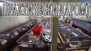 ПРОДАЮ СТАРЫЕ КЛЕТКИ!