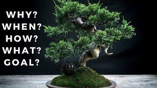 Unlock the Secrets to Bonsai Success: Changing Your Mindset