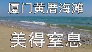 福建-20-厦门黄厝海滩（1）~美得窒息（总第1130期-240217）-4S