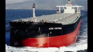 Top 10 Large Bulk Carrier Ships Launches
