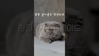 꽁꽁 얼어붙은 한강 위로