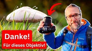 Canon RF28-70mm f/2.8 IS STM im Praxistest: Das Allround-Objektiv, das gefehlt hat!