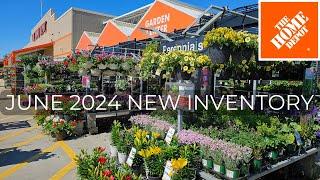 NEW ARRIVALS! Home Depot Garden Center Plants 2024 Perennials, Shrubs, Evergreens