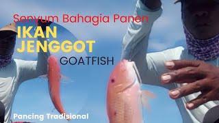 Spot Terbaik.!! Mancing di sarang Ikan Jenggot @VideoMancingViral