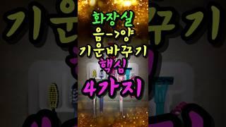 욕실을 양의 기운으로 바꾸면 재물운이 상승한다 #풍수인테리어 #풍수 #풍수소품 #풍수지리 #금전운