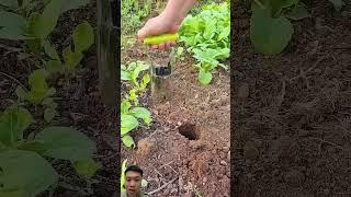 Dụng cụ mẹo trong nông nghiệp thông minh #nongdan #famer #farmtips #agriculture