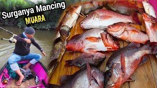 Gak Perlu Jauh Ke Laut , Panen Mancing Ikan Kakap Merah / Mangrove Jack di Spot Muara Sungai Mahakam