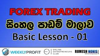 Forex Trading Sinhala - Basic Lesson 01