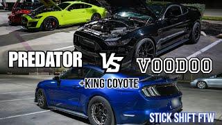 1100HP GT500 vs Twin Turbo Shelby GT350 +Stick Shift 1100HP 5.0 vs 1100HP ZR1s, Hellcat, TTRS + More