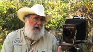 Clyde Butcher Everglades