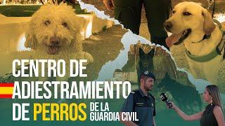 OKDIARIO en el Centro de adiestramiento de perros de la Guardia Civil