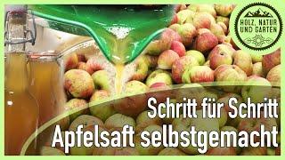 Einfach Lecker! Apfelsaft selber machen - Schritt für Schritt (incl. haltbarmachen)