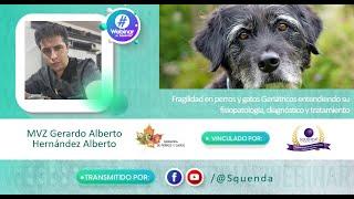 Perros y gatos Geriátricos su fisiopatología y tratamiento - MVZ Gerardo Alberto Hernández Alberto