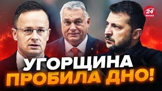 ОБУРЕННЮ українців немає меж! В Угорщині ВИГАДАЛИ новий АБСУРД: лунають ЦИНІЧНІ заяви