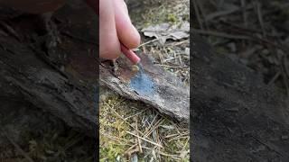 How to get fire with gunpowder  #bushcraft #forest #livehacks #asmr #lifehacks #outdoors #fire