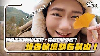 不用飛韓國！梨山銀杏、武陵農場美景美食全攻略！｜梨山 Lishan｜羊里長 Sheep GoGo