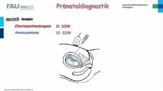 Gynäkologie ─ Pränataldiagnostik Teil 2/2