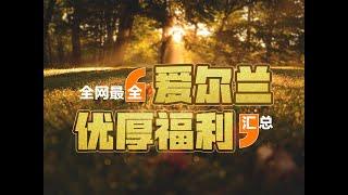 全网最全，爱尔兰福利汇总。捐款移民|投资移民|技术移民|爱尔兰移民