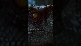 How raptors really sound