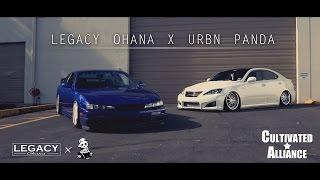 Legacy X Urbn Panda